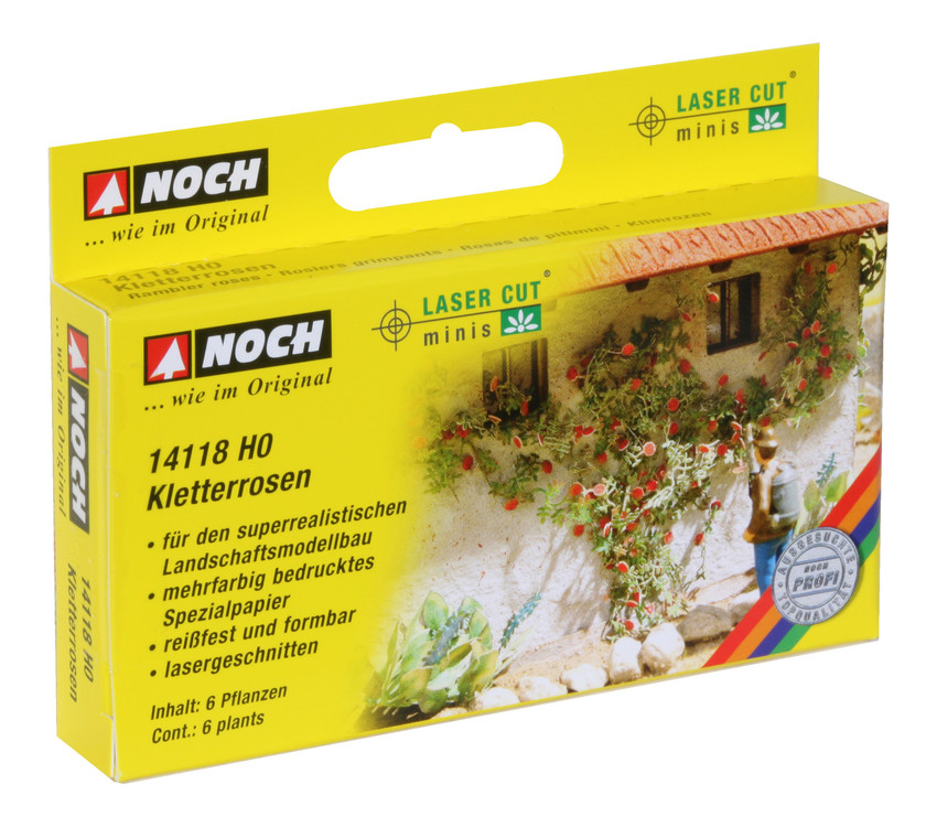14118 Kletterrosen