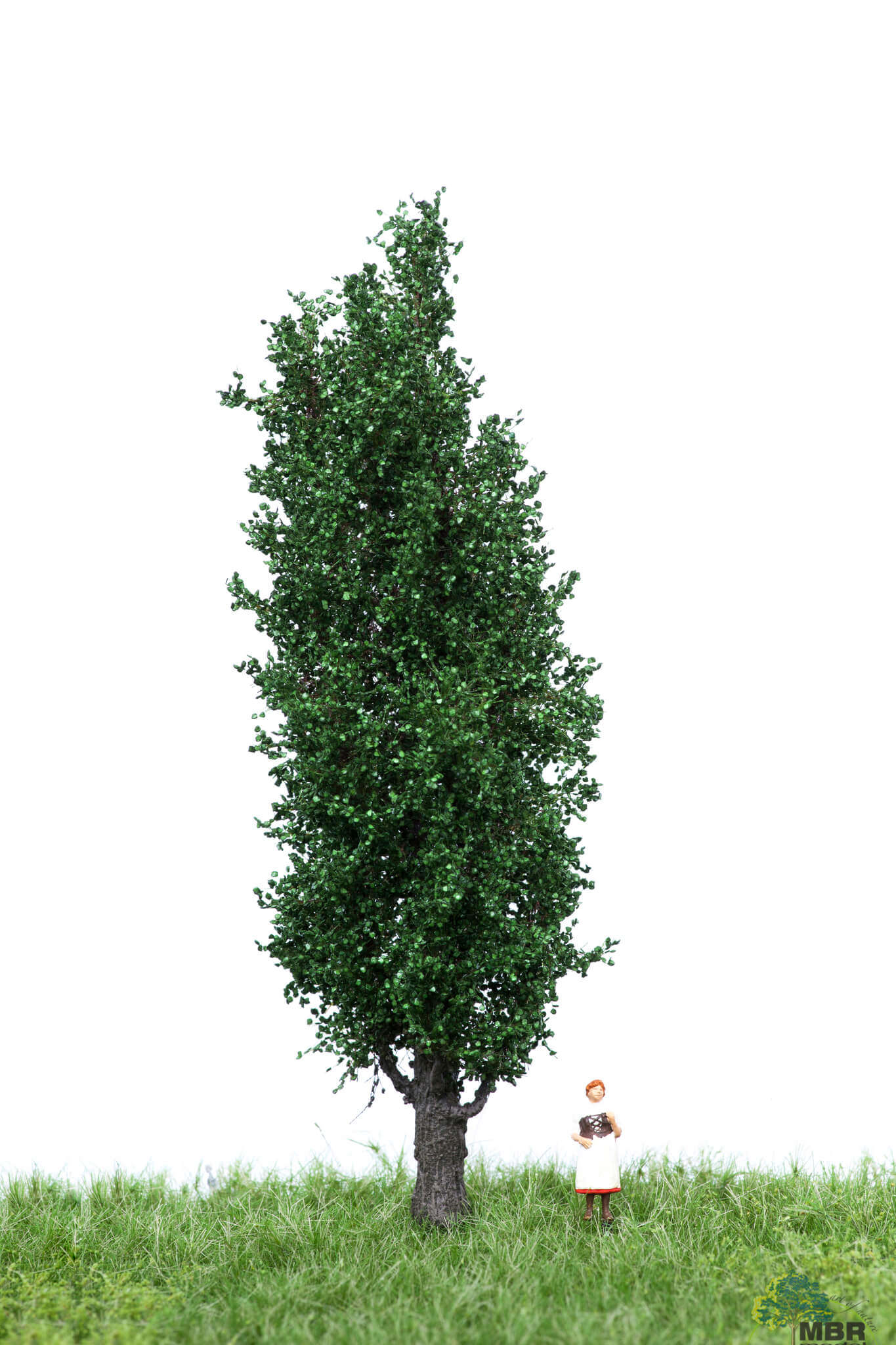 51-2207 Italienische Pappel 12-16cm