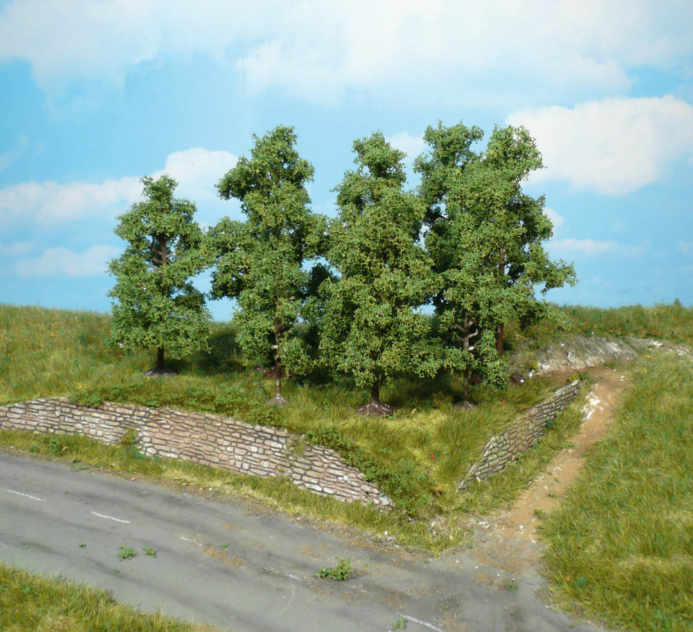 1732 4 Obstbäume 8 cm
