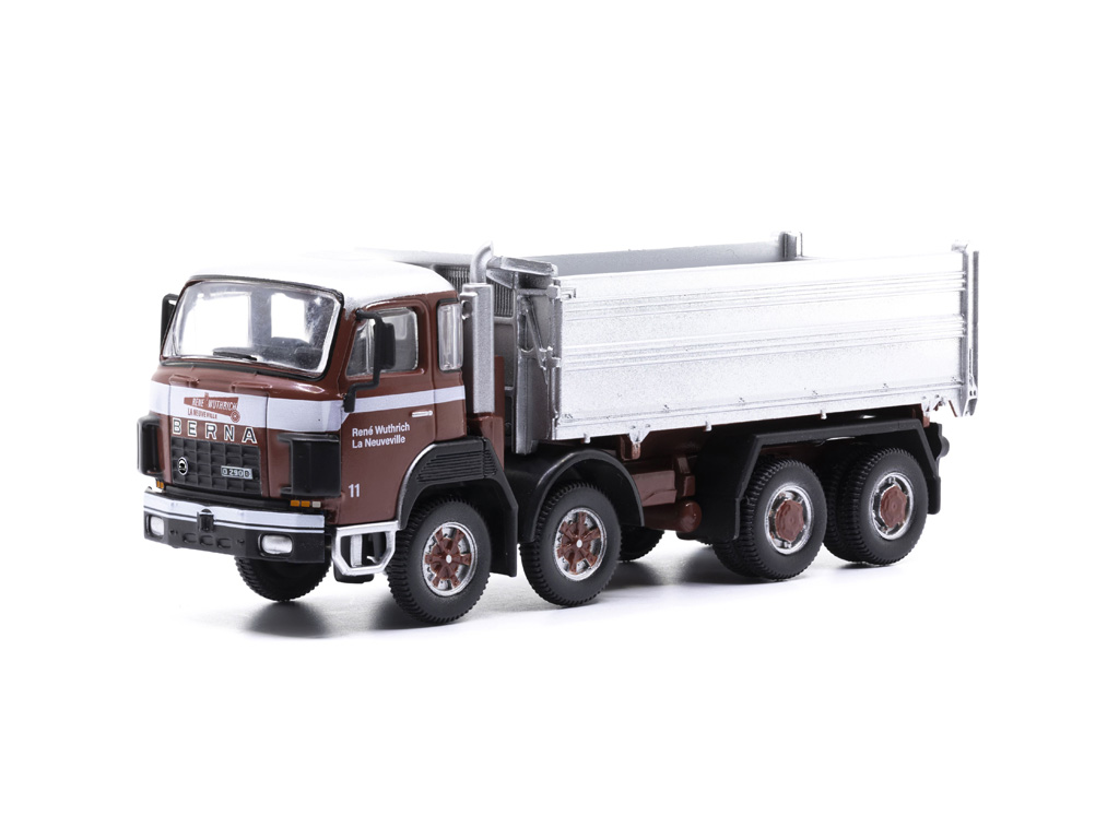 85.002309 Berna D290B F8x4 Kipper René Wuthrich