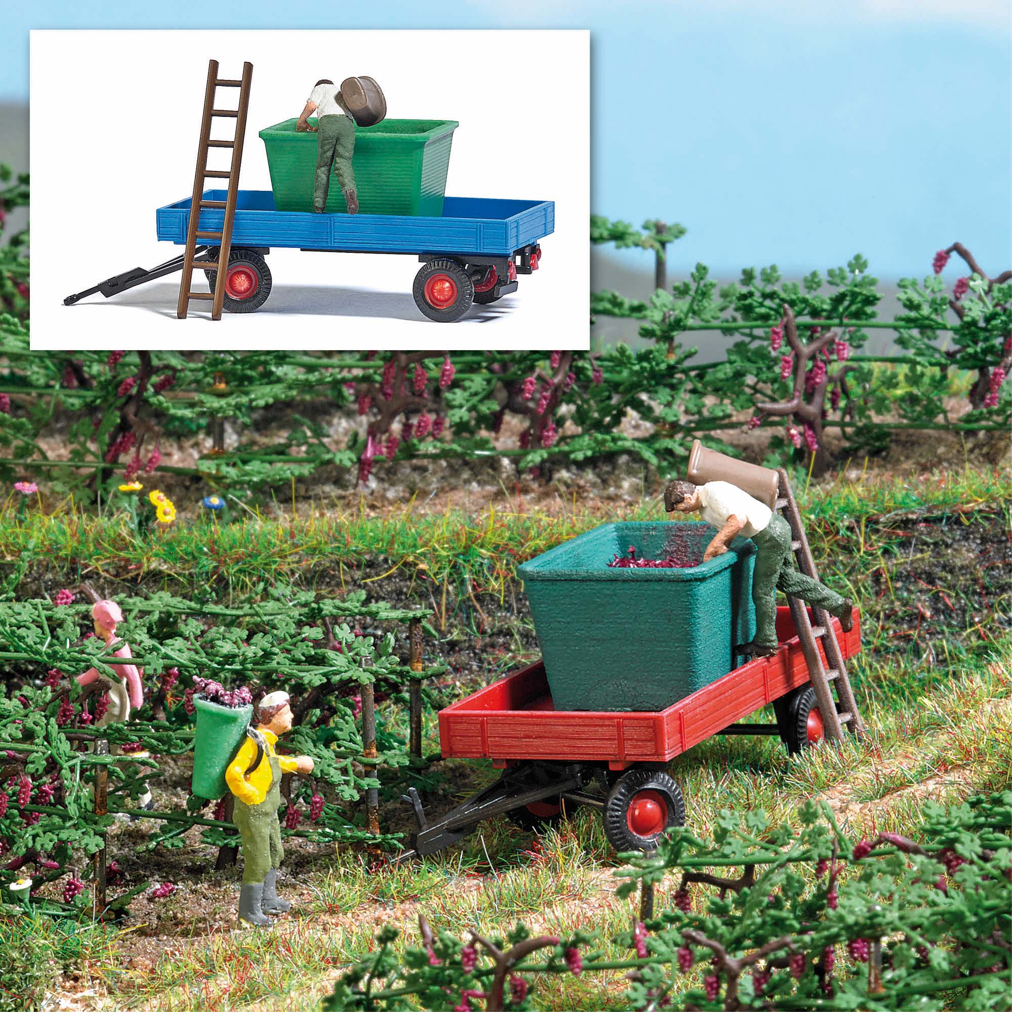 7879 Traubenernte mit Gummiwagen