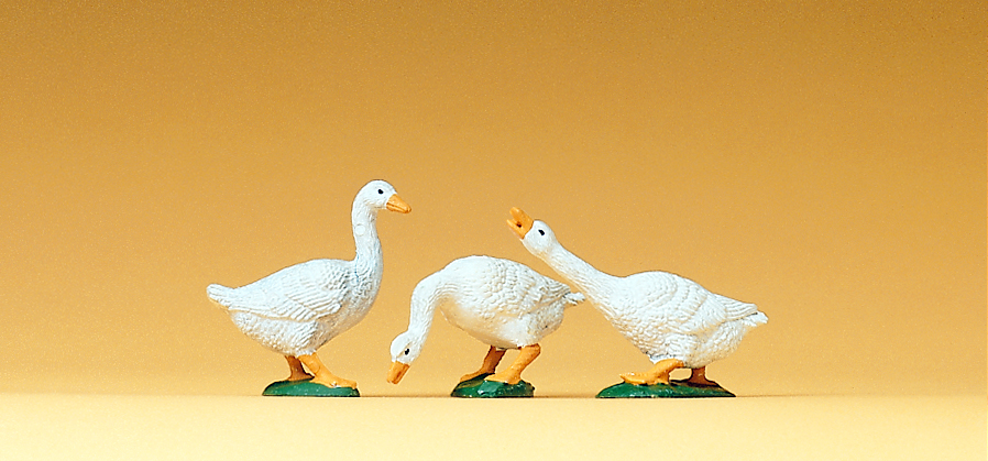 47080 3 Gänse