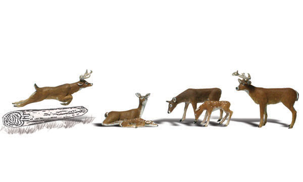 WA2185 N Deer