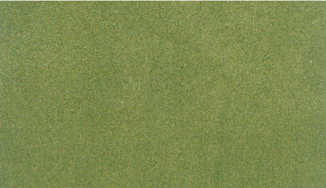 WRG5131 Grassmatte Frühling, 33 x 50