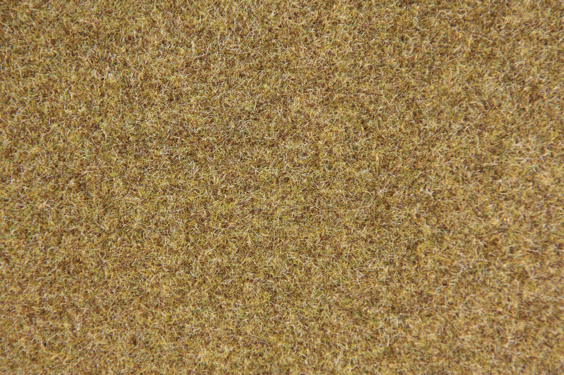33521 Grasfaser Waldgrund, 50 g, 2-3 mm