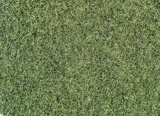 33540 Grasfaser Willdgras Wintergras 75g, 6mm