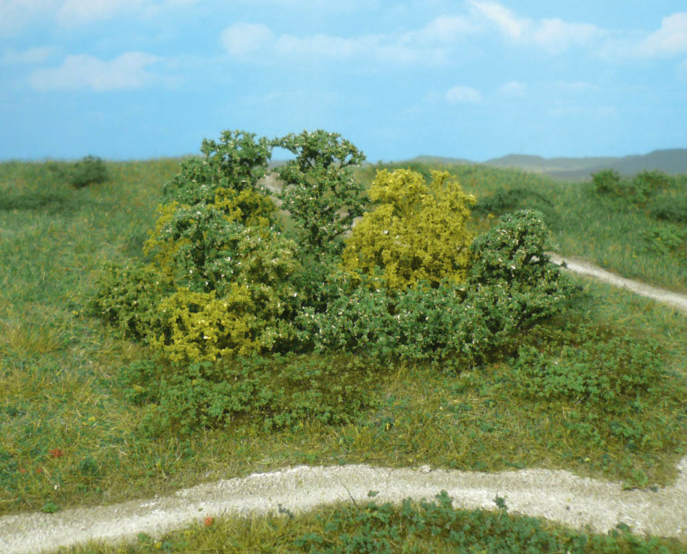 1646 20 Naturbüsche