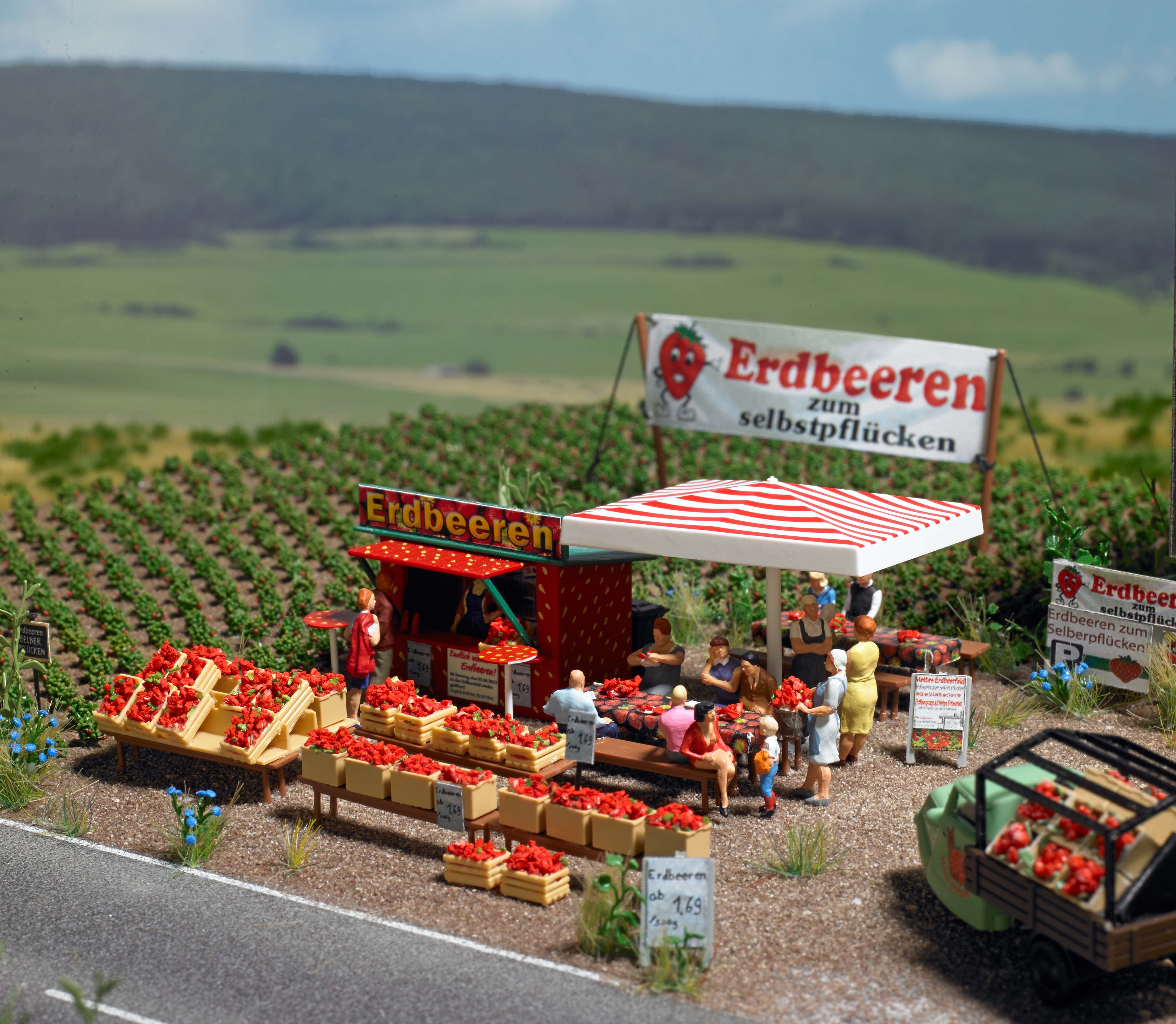 1073 Erdbeer Verkauf