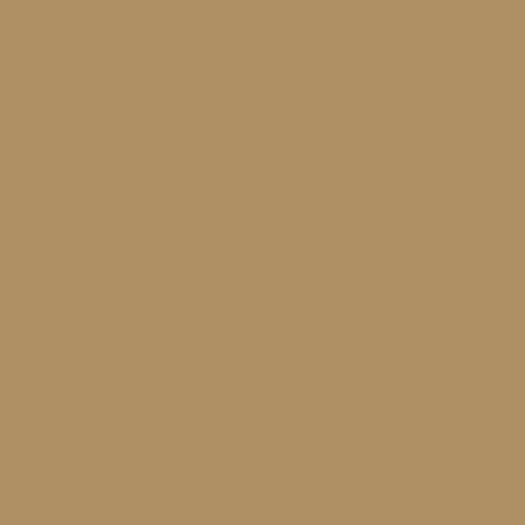 Vallejo 71027 Hellbraun, 17 ml