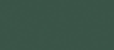 Vallejo 70888 RAL6006 Grauoliv matt, 17 ml