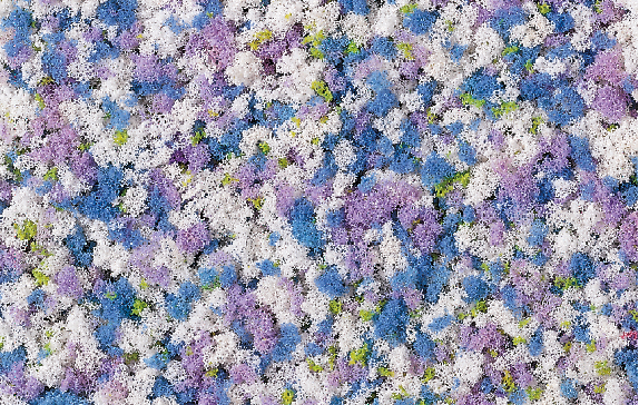 76936 Schaumflocken Kornblumen