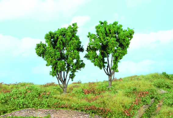 1772 2 Mimosen