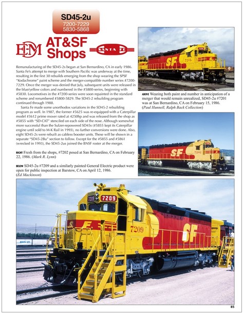 Morning Sun 1716 SF Power in Color Vol 4