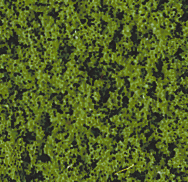 1551 Heki-flor mittelgrün
