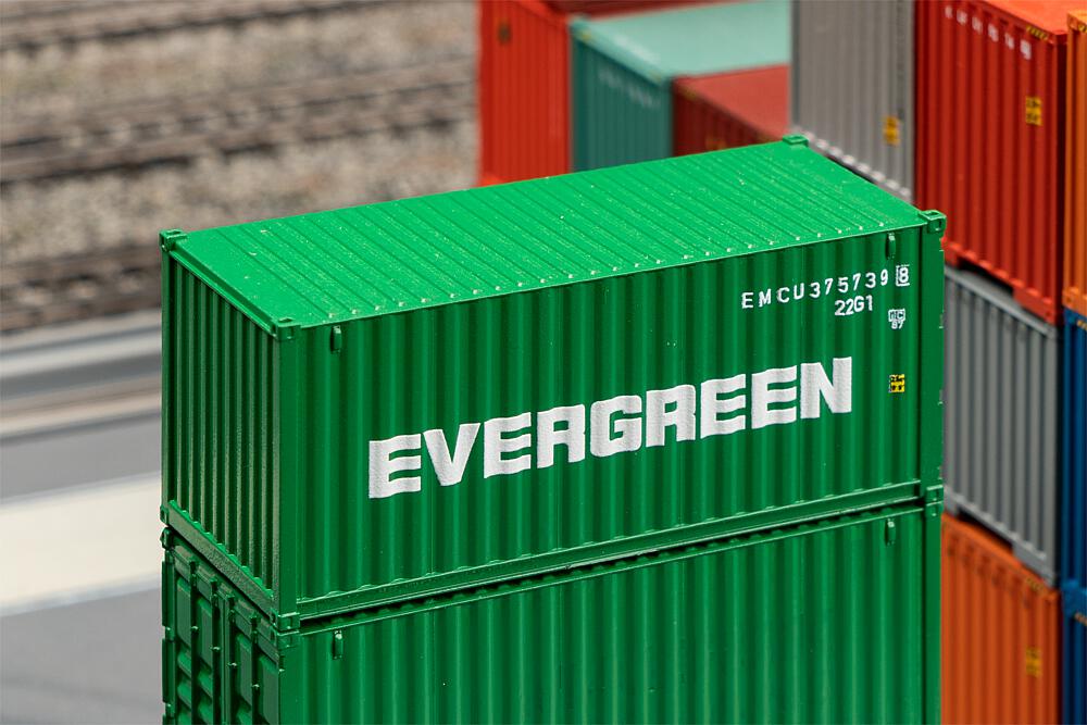 182004 20' Container EVERGREEN