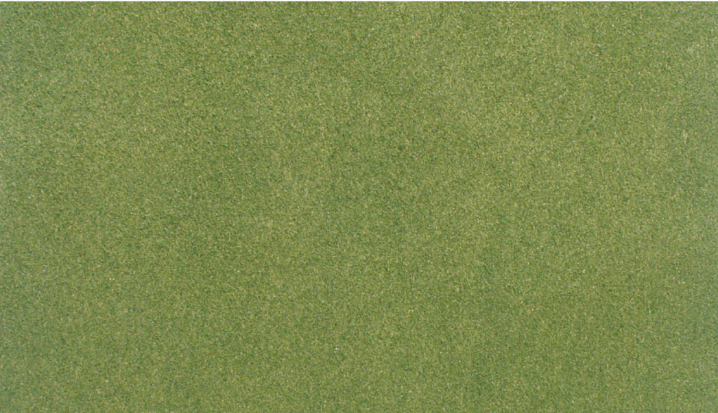 WRG5121 Grassmatte Frühling, 50 x 100