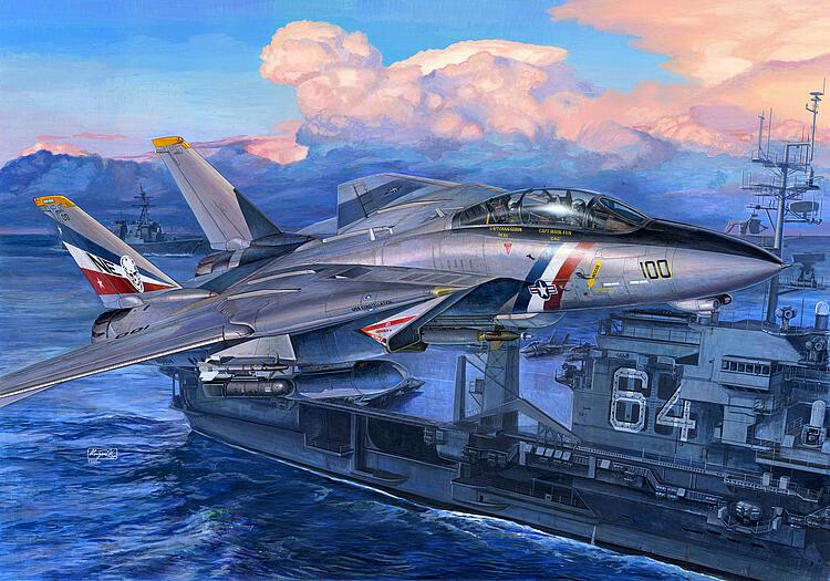 753203 F14D Super Tomcat