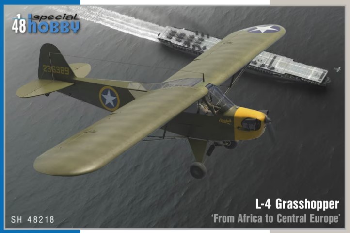 SH48218 L-4 Grasshopper From Africa to Central