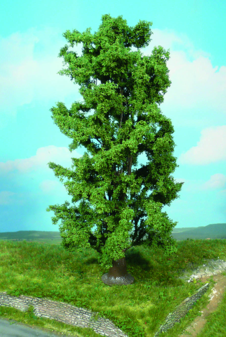 1742 1 Laubbaum Felsenahorn 30 cm