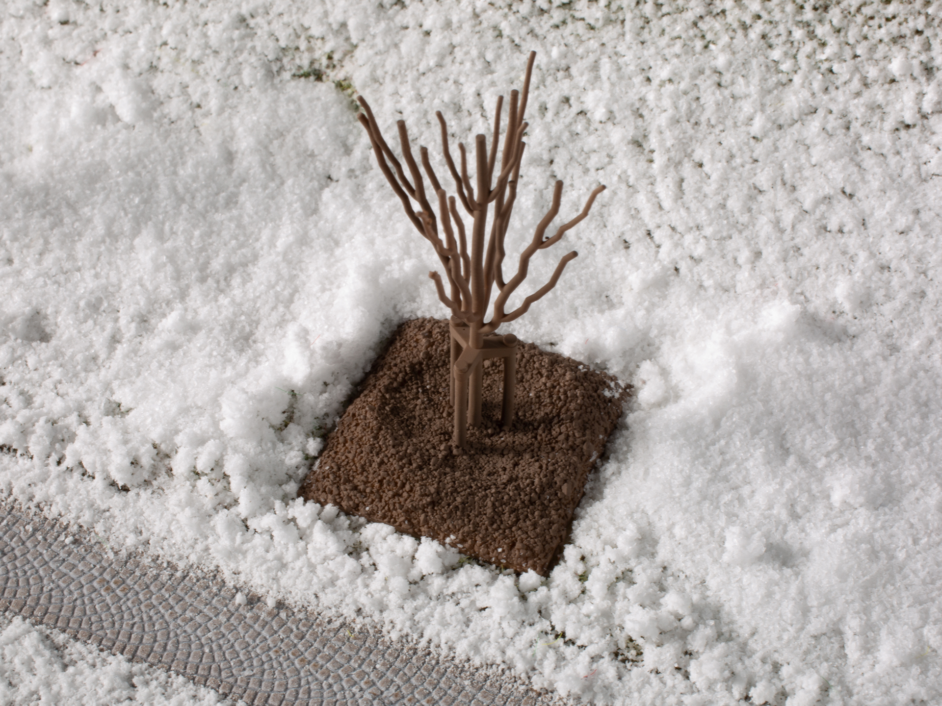 70951 Junge Bäume Winter