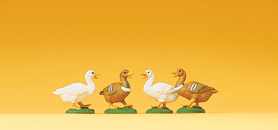 47077 4 Enten