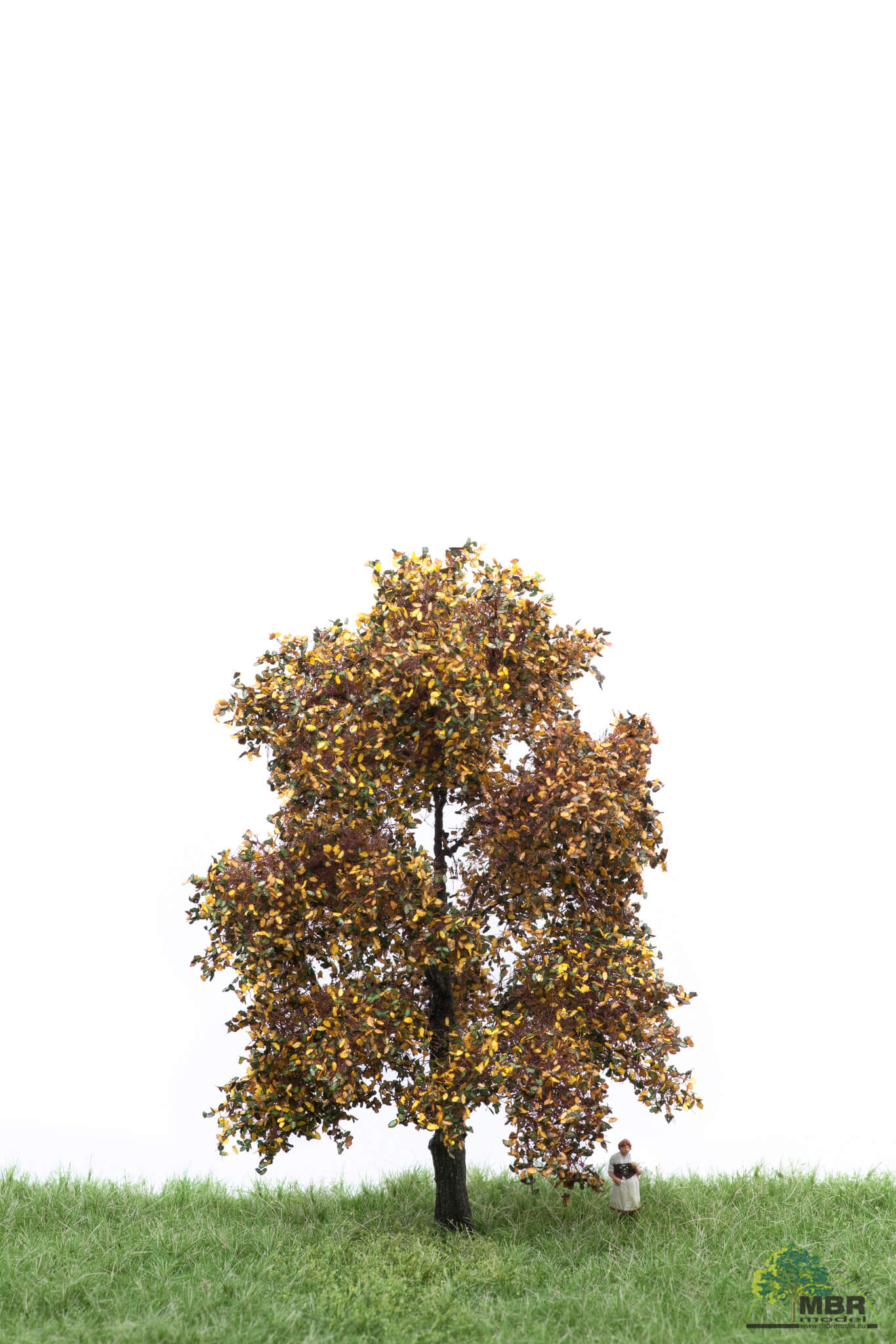 52-2203 Eiche 12-16cm