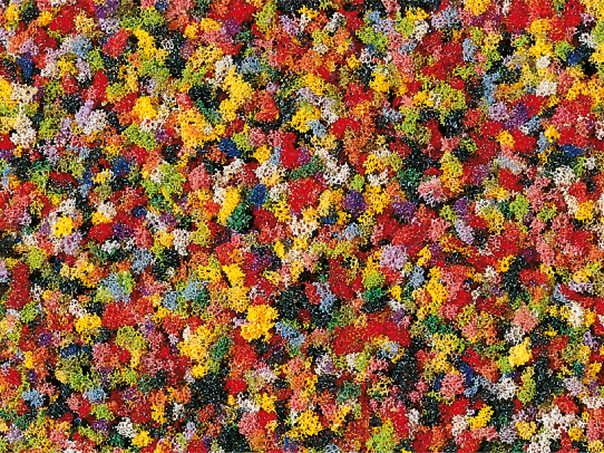 76934 Schaumflocken Sommerblumen