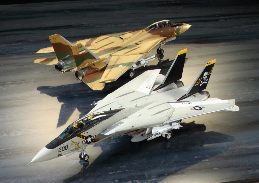 Tamiya 61114 Grumman F-14A Tomcat