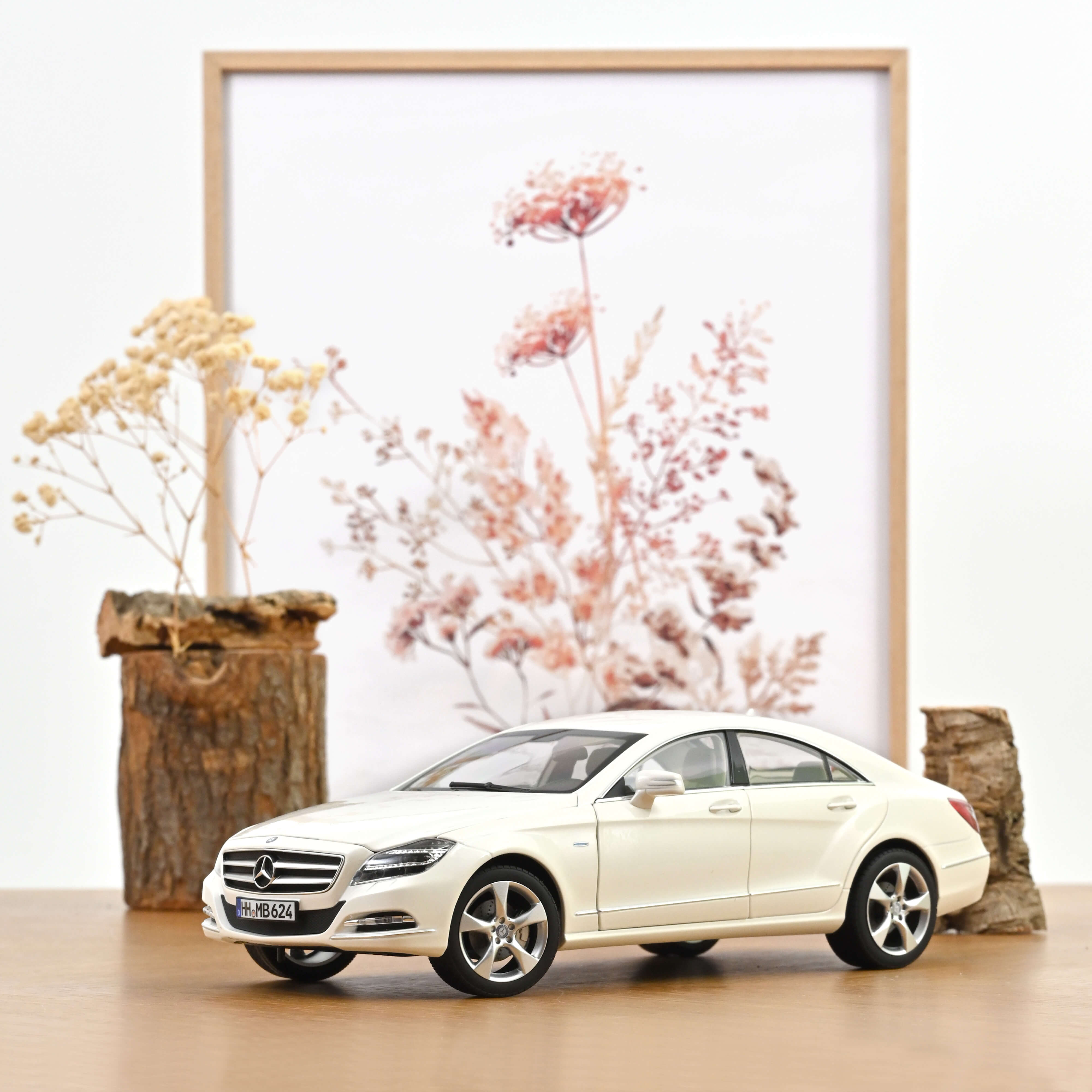 183943 MB CLS-Coupe brillant weiß-met. (2011)