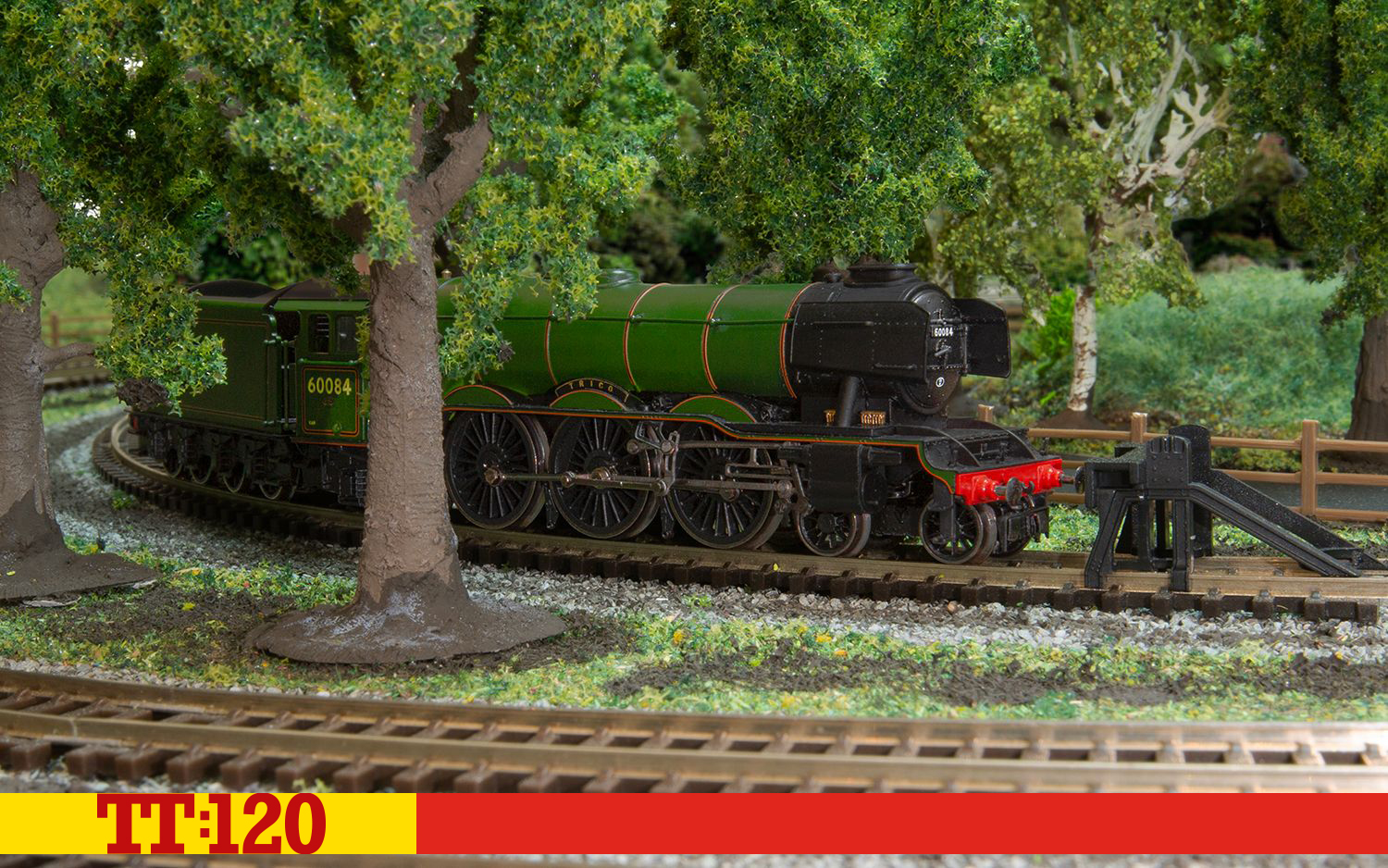 TT3006M BR Dampflok Class A3 4-6-2 'Trigo' Era 5