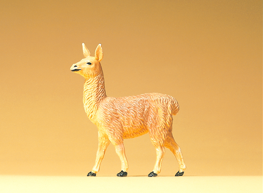 47528 Lama jung