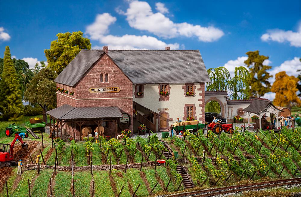 130611 Weinkellerei