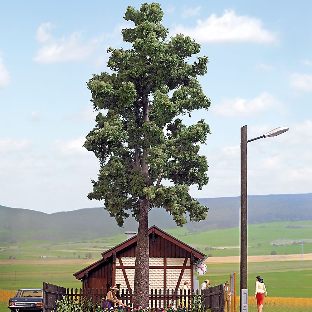 10621 Laubbaum, 320 mm