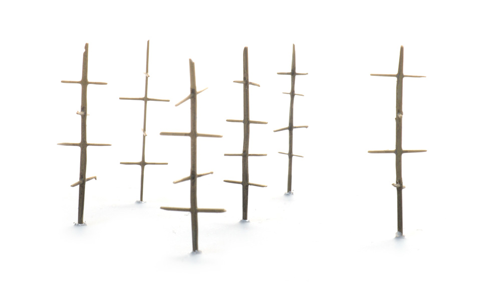387.603 Holzrahmen für Heinzen