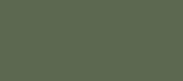 Vallejo 70893 US Dunkelgrün matt, 17 ml