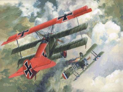010 Fokker Dr.I