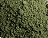 Vallejo 73111 Pigment - Grüne Erde, 30 ml