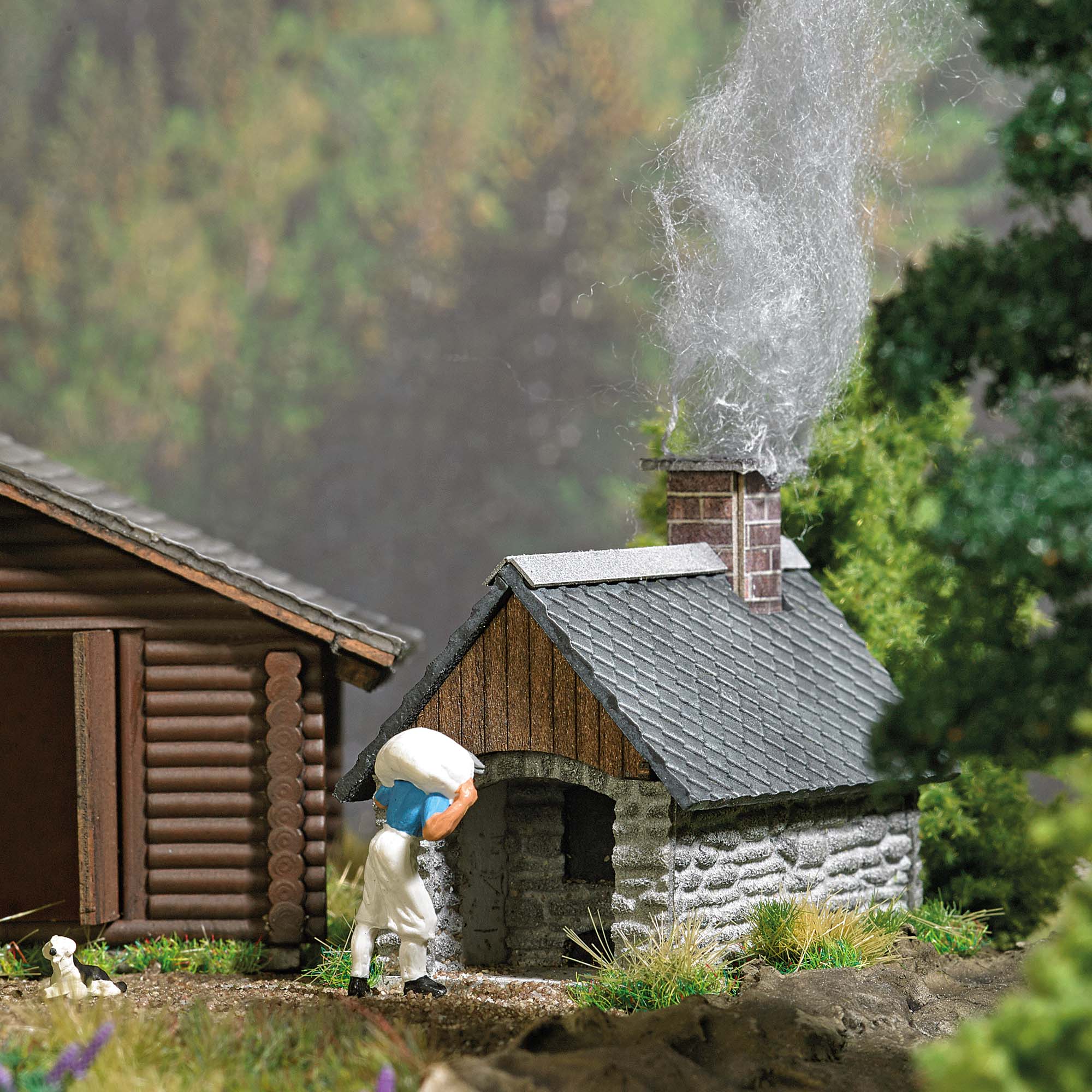 1384 Backhaus