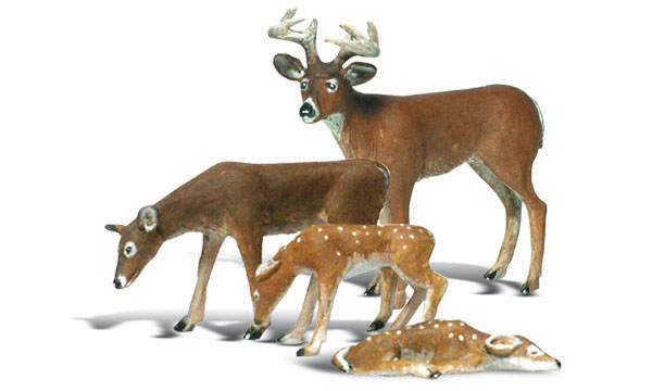 WA2543 Buck and Family