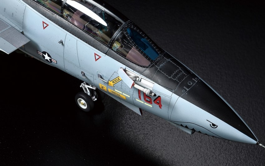 Tamiya 61118 Grumman F-14D Tomcat