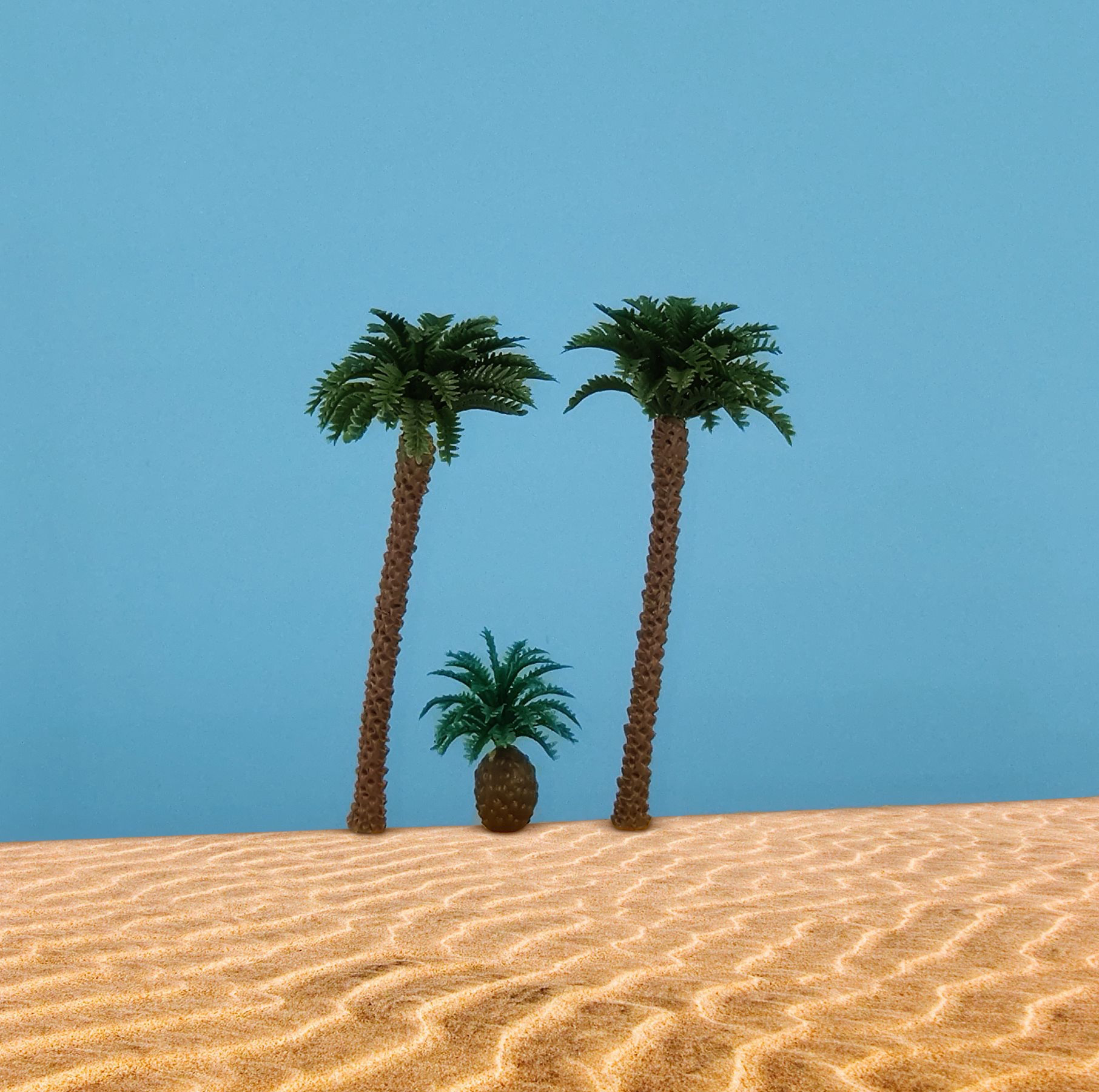 37005 2 Kokospalmen 9 cm, 1 Palmfarn