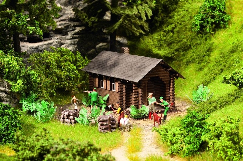 65606 Waldhütte