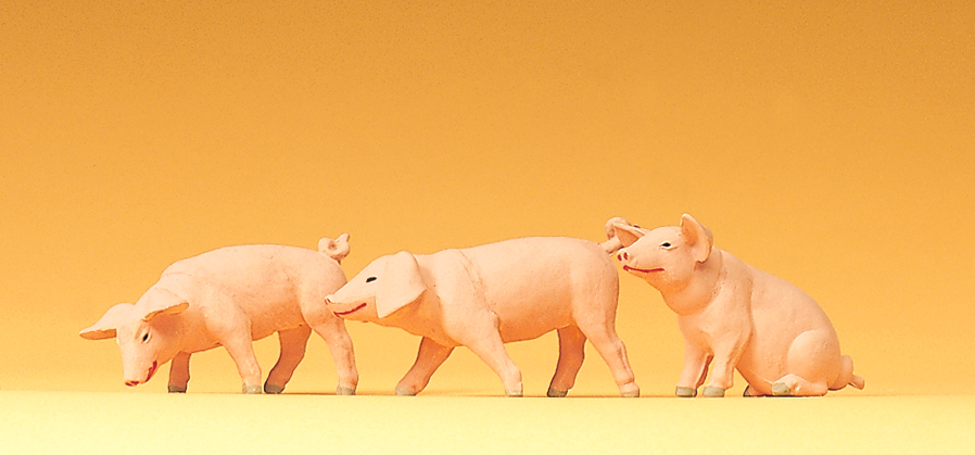 47048 3 Ferkel