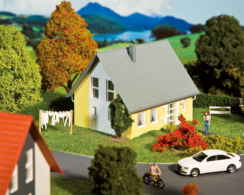 130317 Einfamilienhaus, gelb