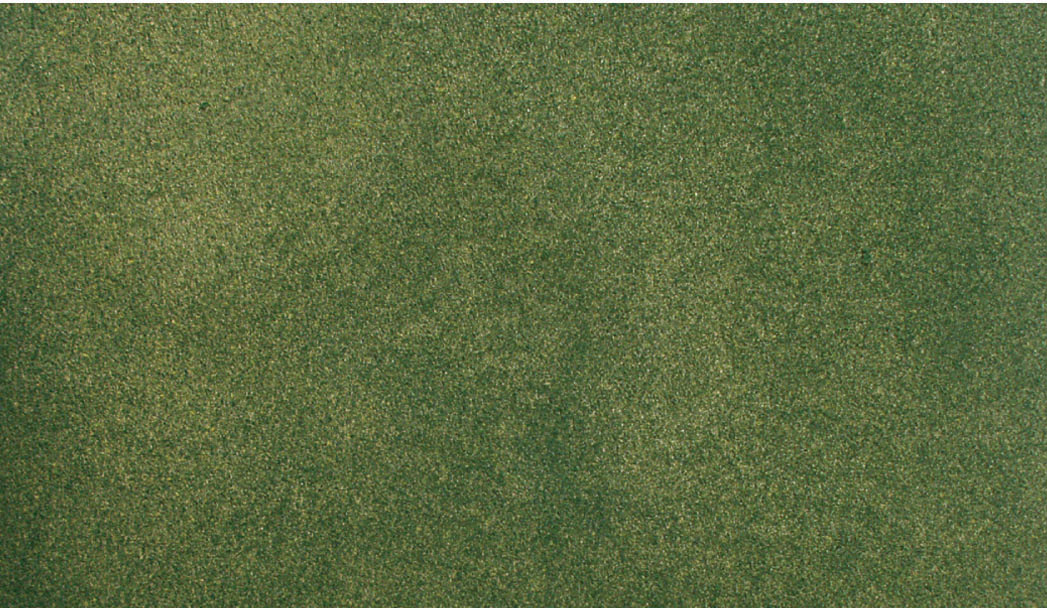 WRG5132 Grassmatte grün, 33 x 50