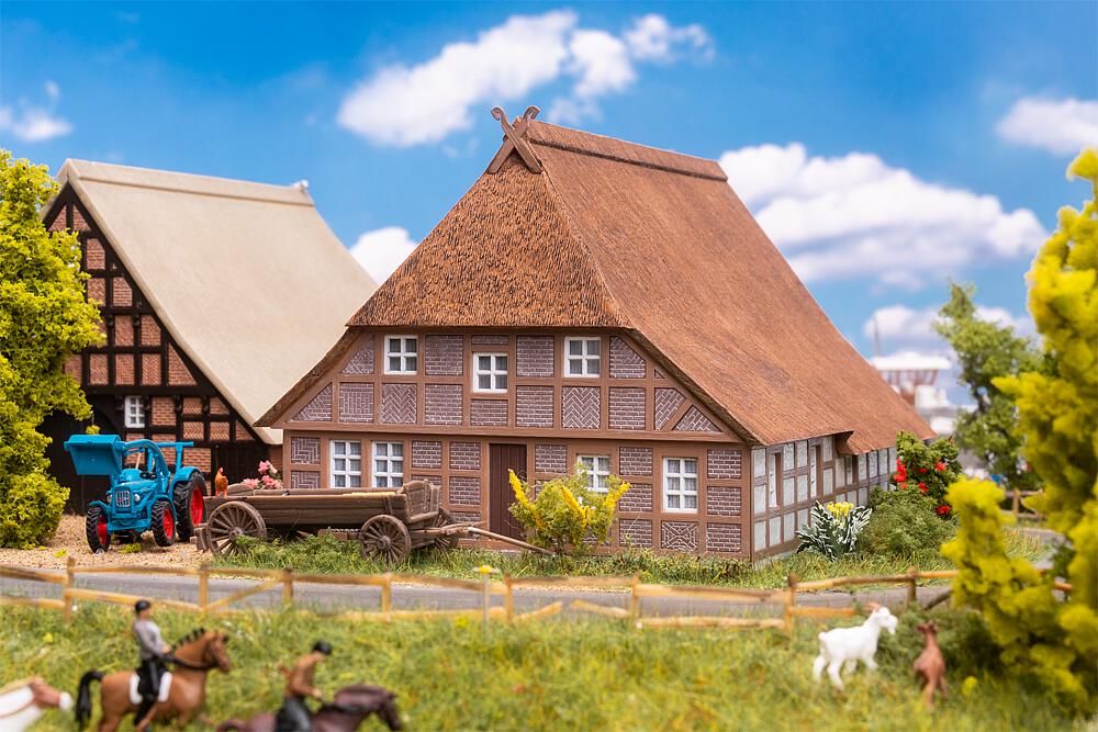 130674 Norddeutsches Reetdachhaus