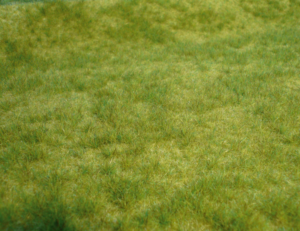 1841 realistic-Wildgras Frühling 45x17 cm