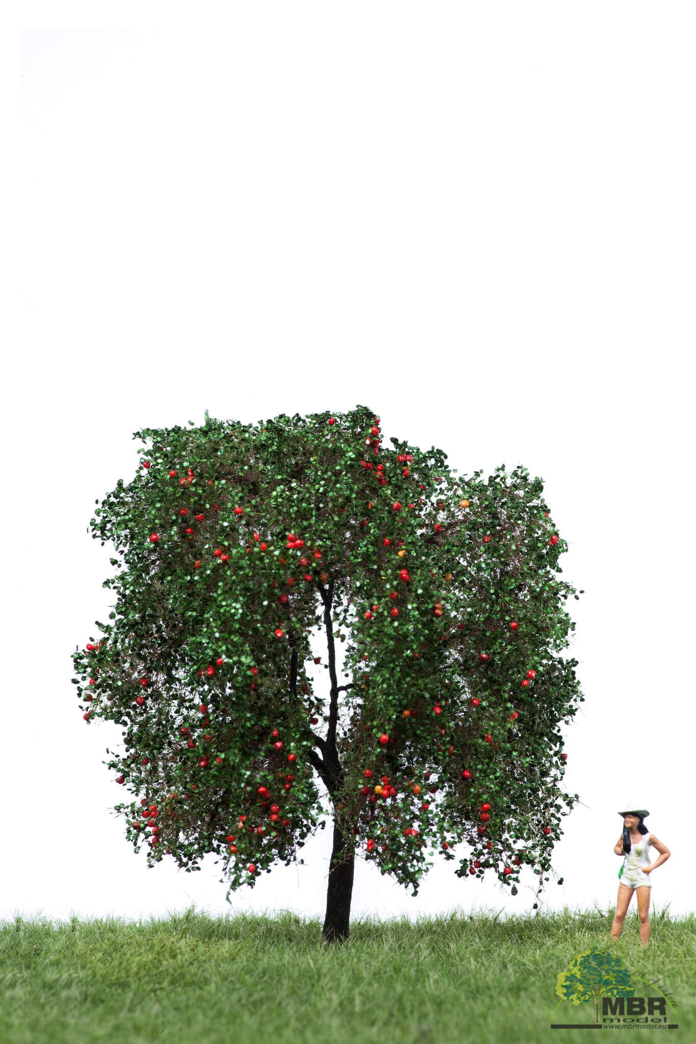 51-2404 Apfelbaum 12-16 cm