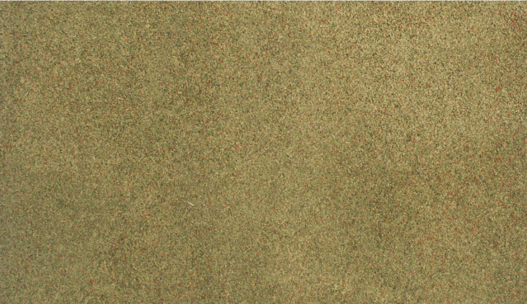 WRG5134 Grassmatte Frühling, 33 x 50