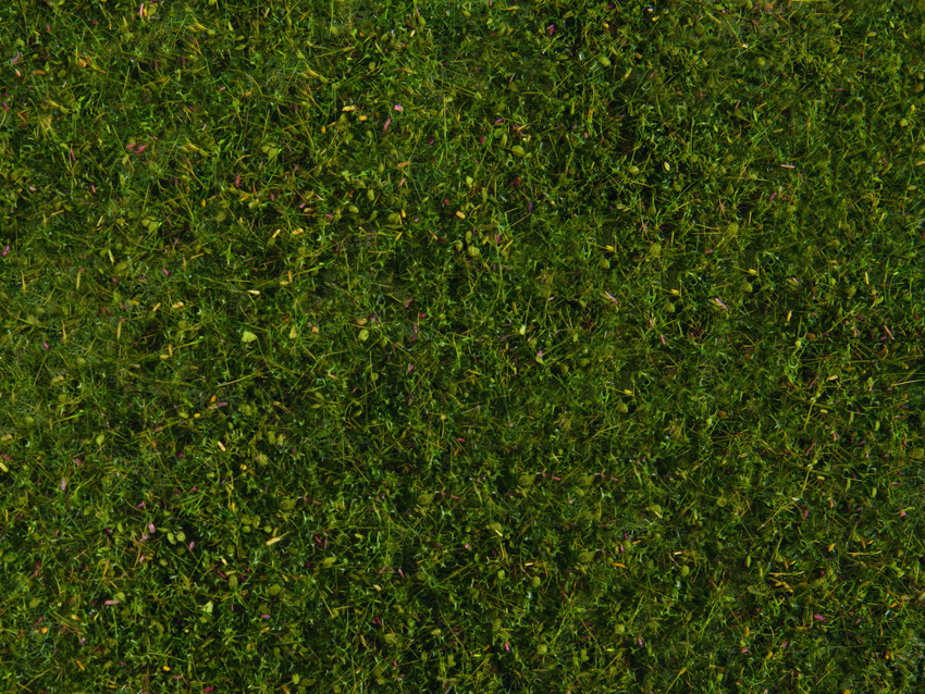 07291 Wiesen-Foliage, mittelgrün